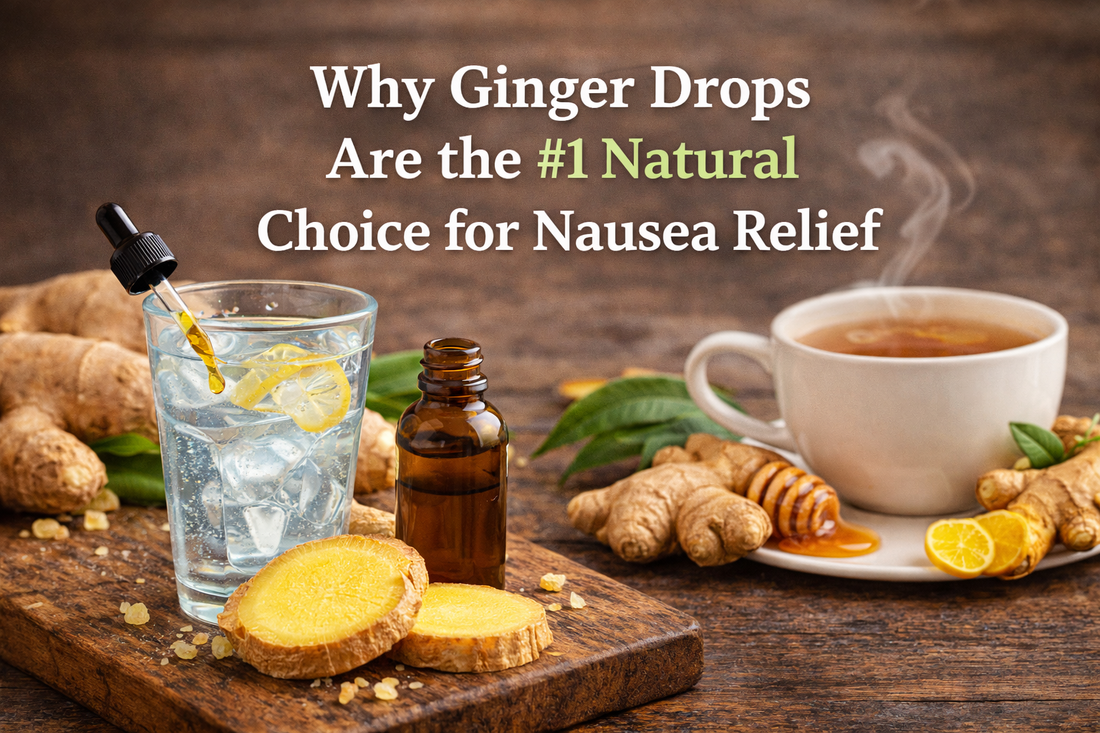 Best Ginger Drops for Nausea: Complete Relief Guide 2026