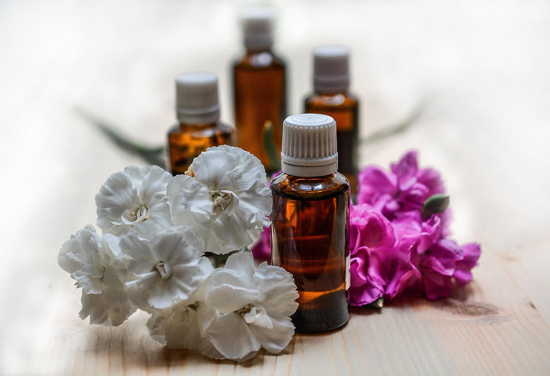 What Are Herbal Cleanse Drops? A Plant-Based Guide to Daily Body Reset